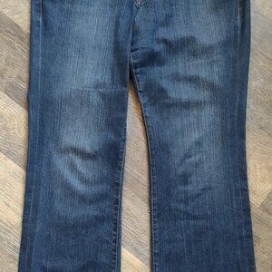 Womens Blue Jeans Size 12-Petite by JagJeans Boot Leg
